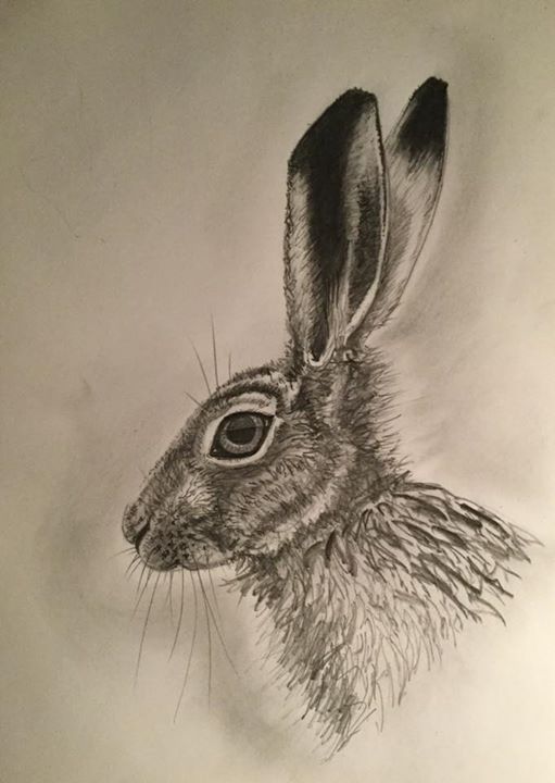 Hare