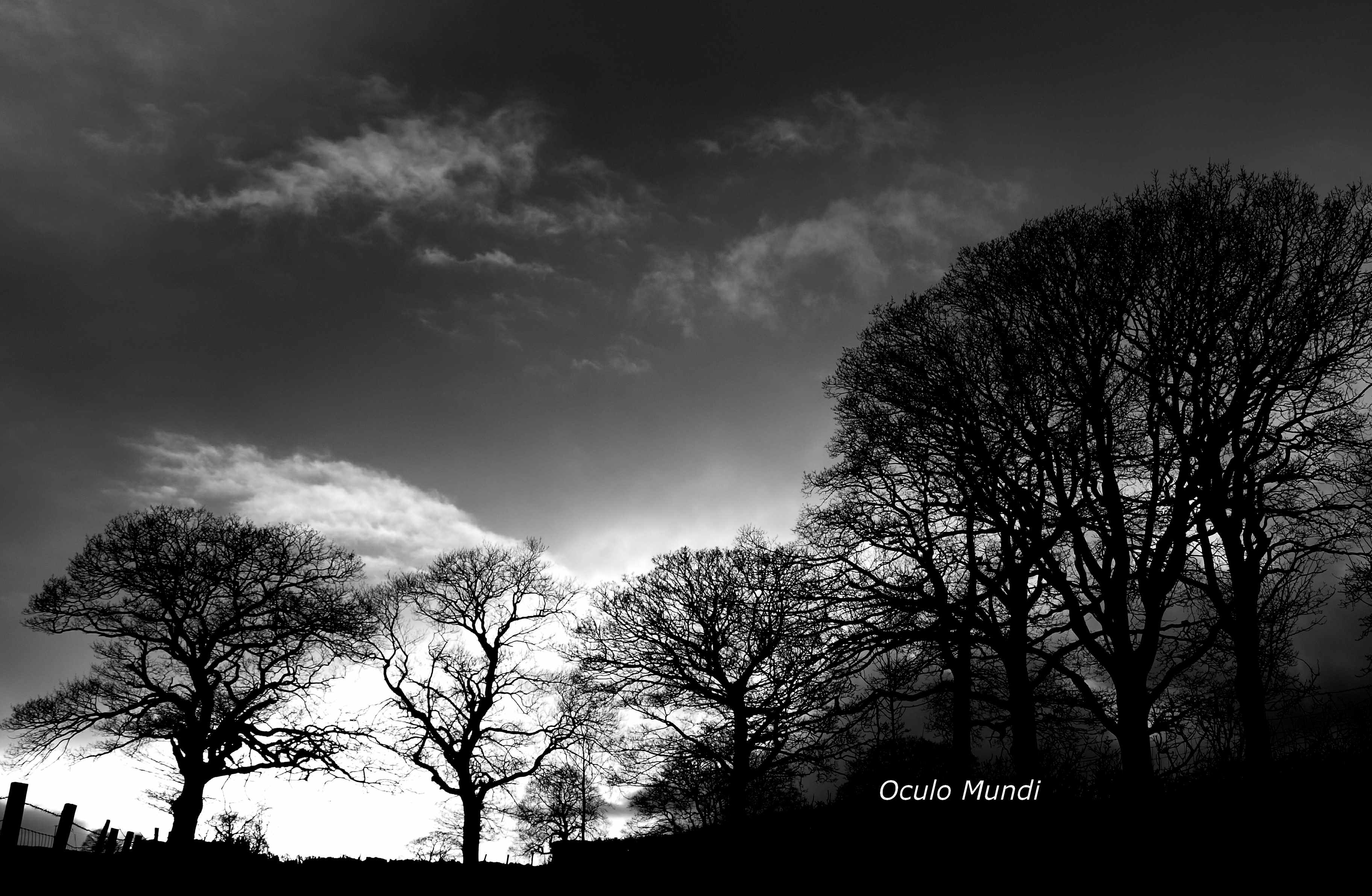Hawkshead Hill