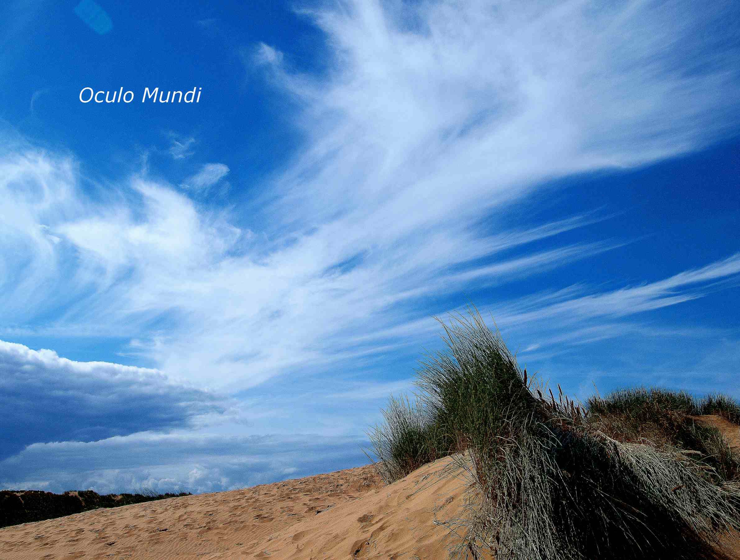 Formby Dunes