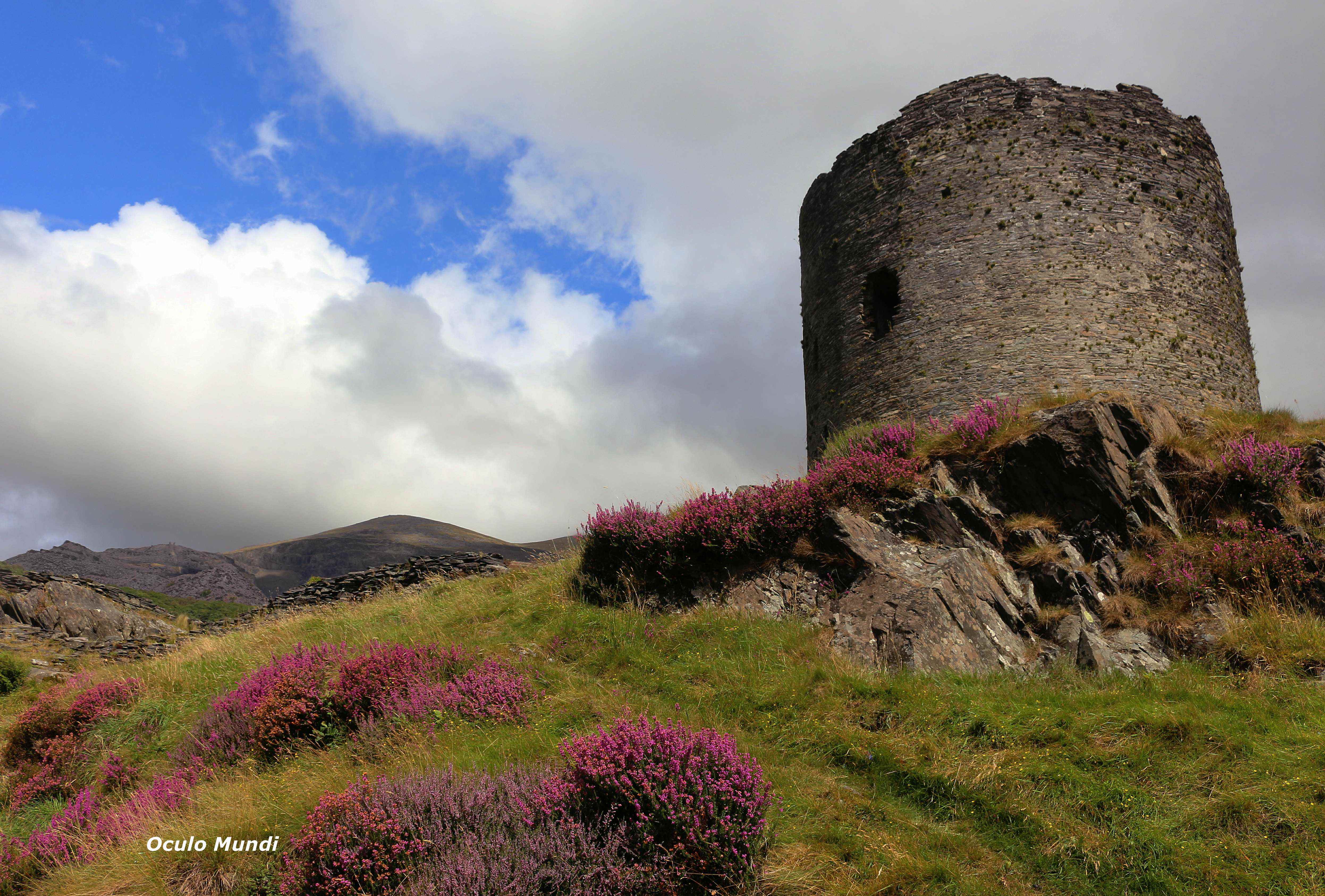 Dolbadarn Castle