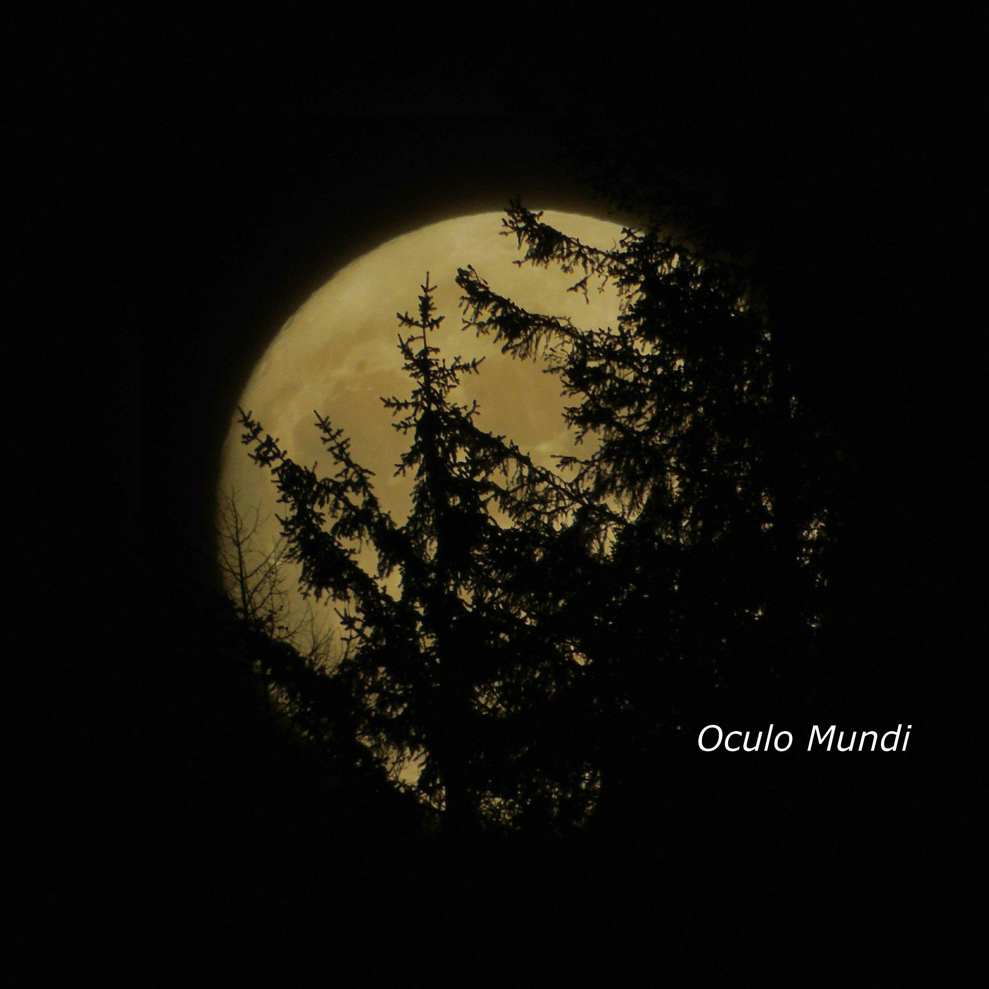 Festive Full Moon