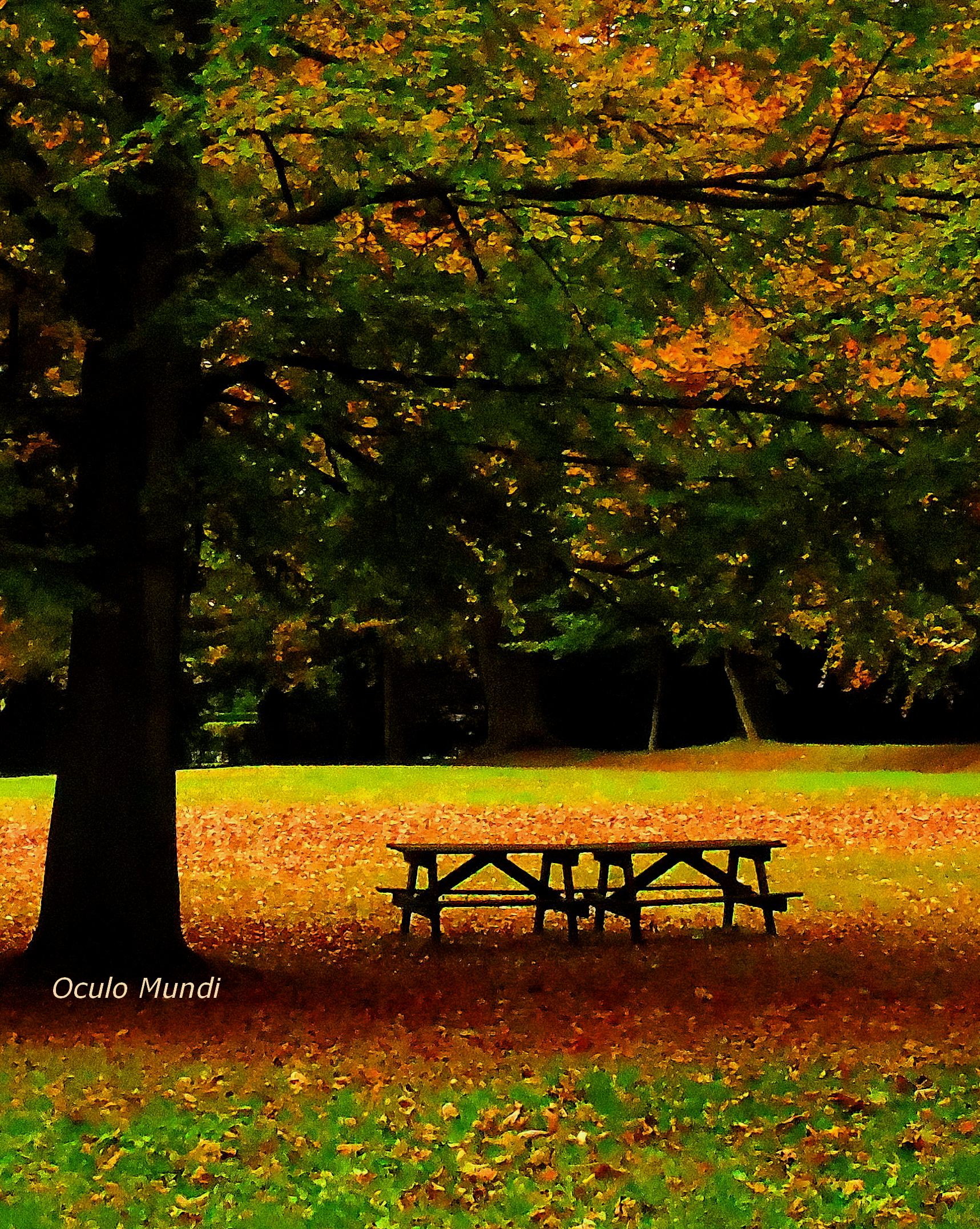 Rufford Picnic Centre