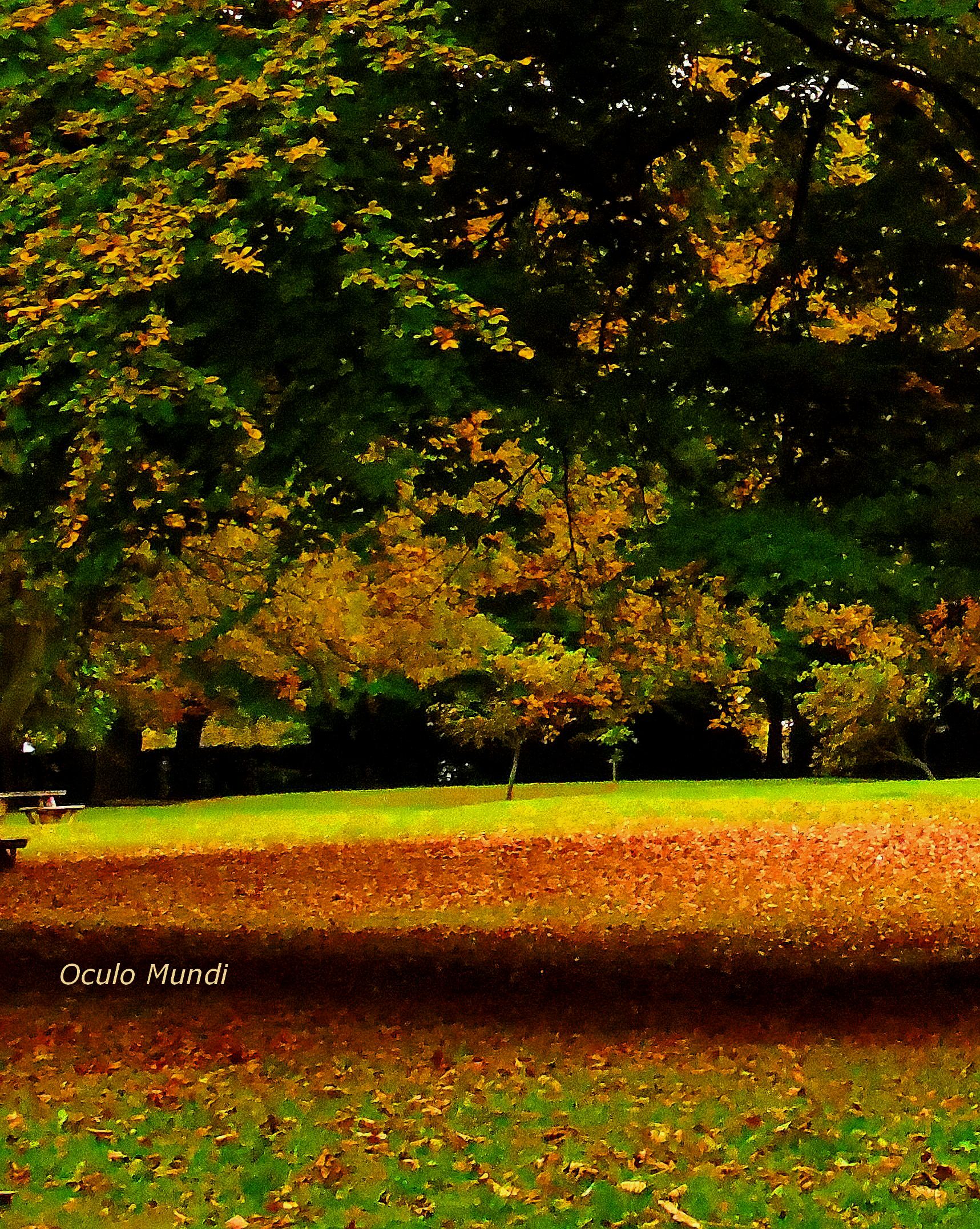 Rufford Picnic Left
