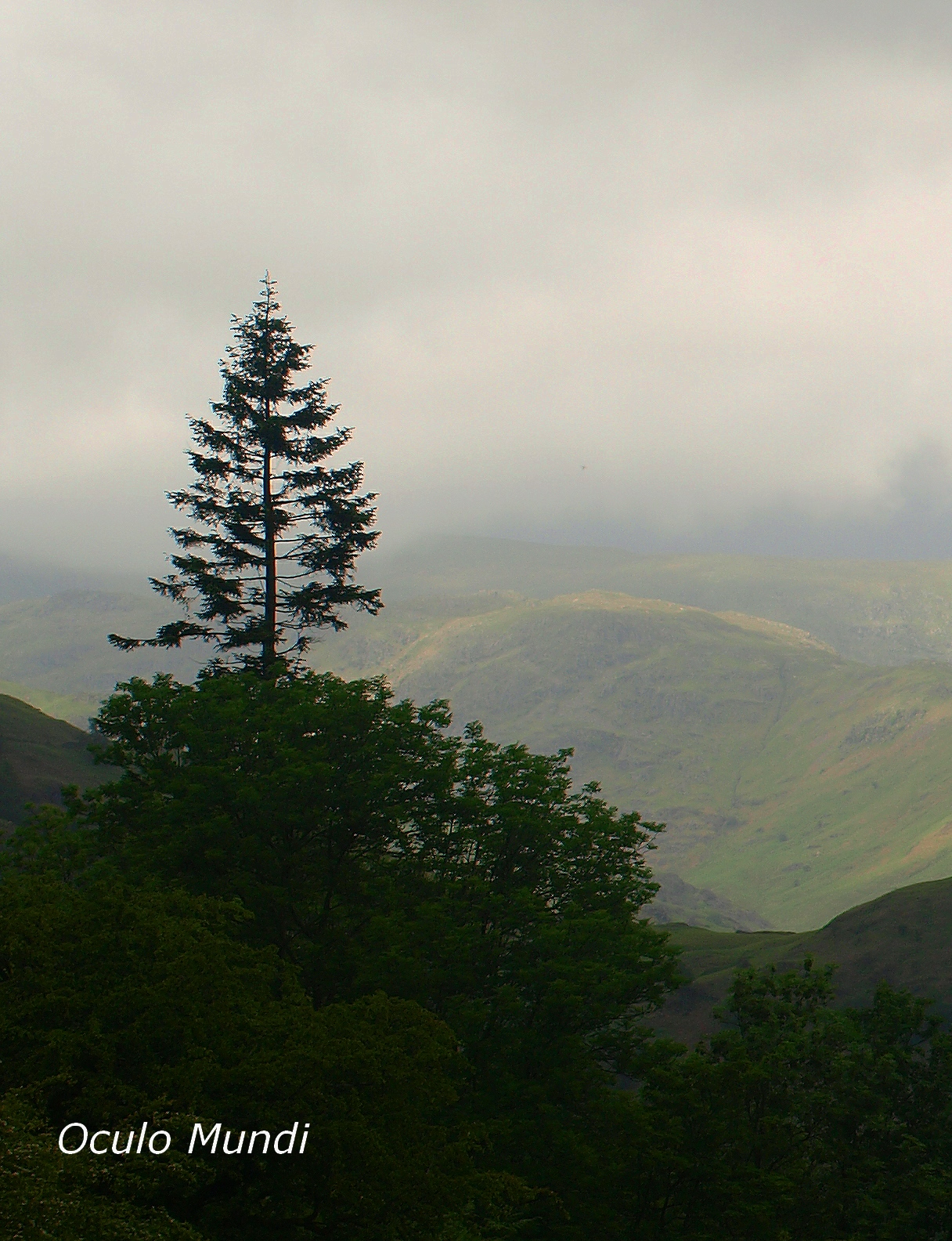Loughrigg View Left